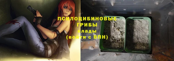 2c-b Бутурлиновка