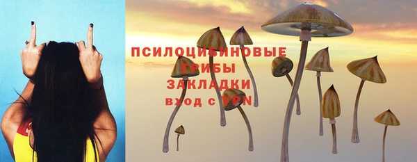 наркотики Ветлуга