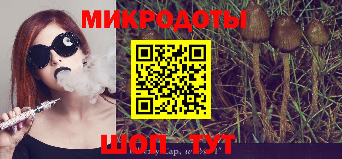 Псилоцибиновые грибы Psilocybe Волоколамск